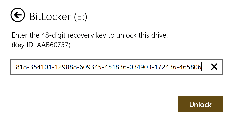 Windows Explorer: Bitlocker key files in the Documents folder